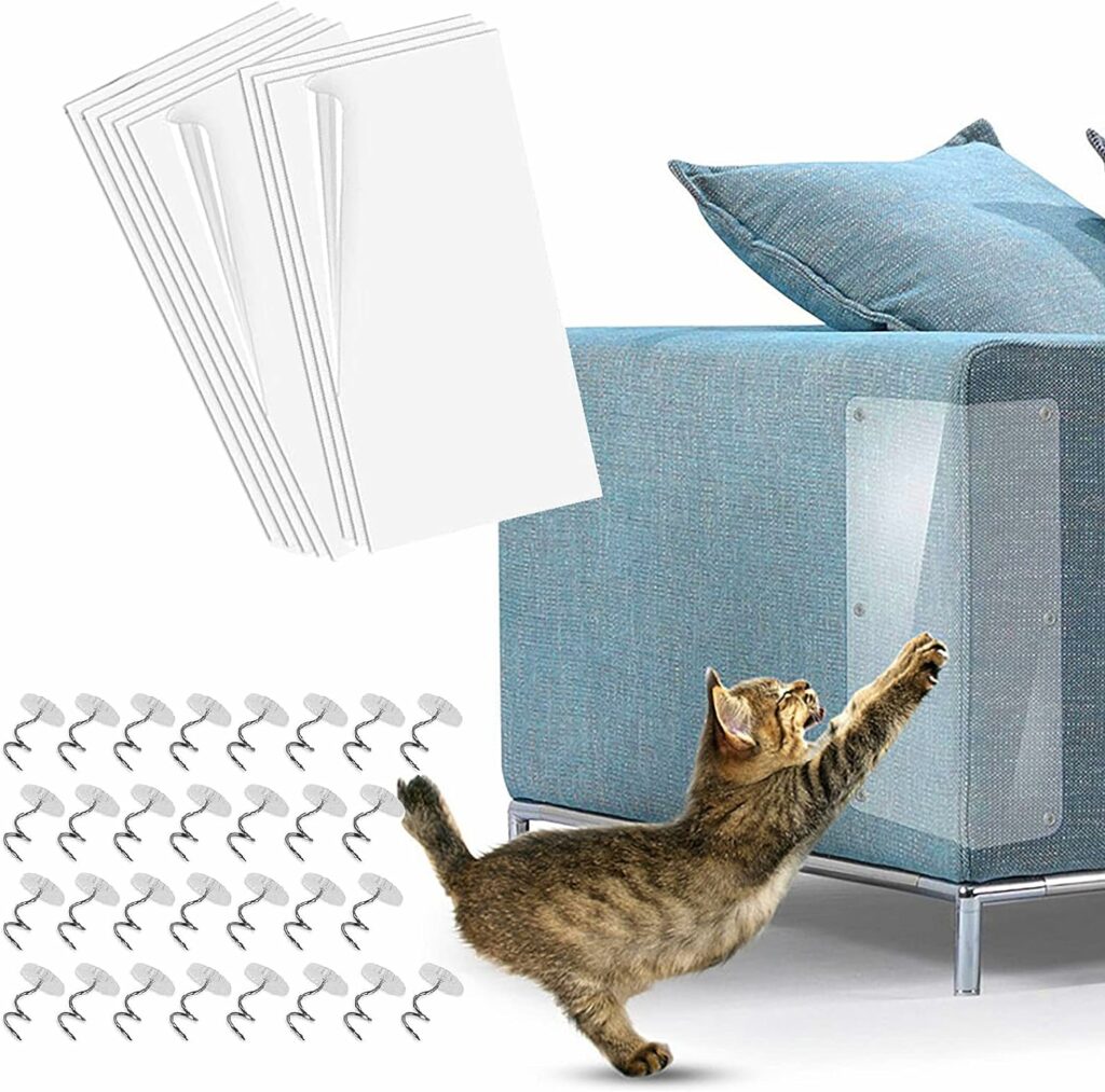 Metodo definitivo per proteggere il divano dai graffi del gatto
